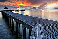 [ 金顶置业 ]The Evermore 公寓尽享浪漫与舒适！