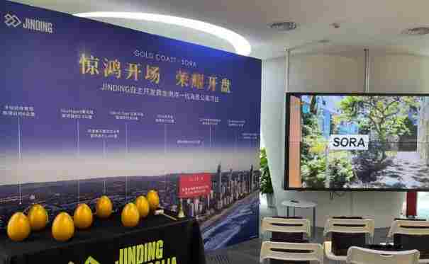 【活动·回顾】黄金海岸Sora内部VIP优先抢购活动成功举办！