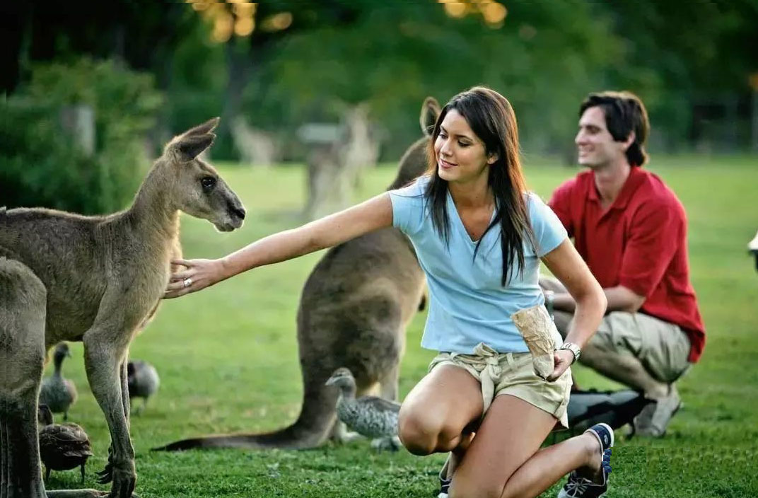 金顶置业留学专家：澳洲留学这些礼仪及禁忌很重要