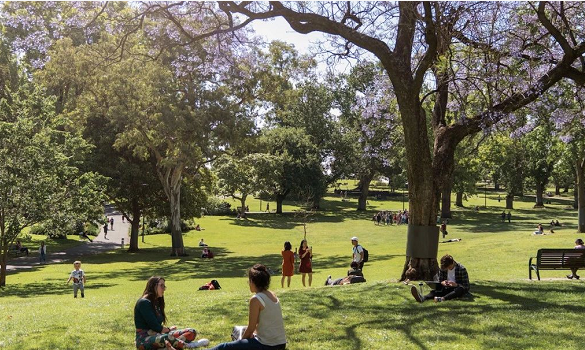 澳洲房产|Flagstaff Hill·West Melbourne 内城绿洲