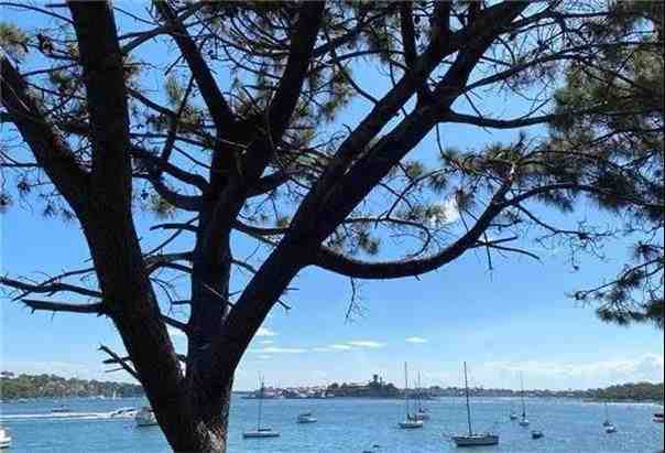 房产投资热情不减 基本服务类商业房地产受青睐