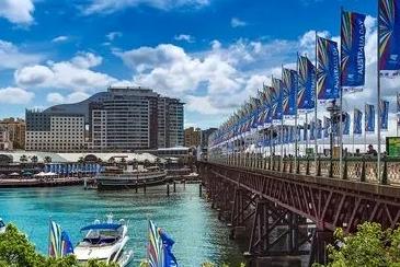 维州新ROI邀请数据一览