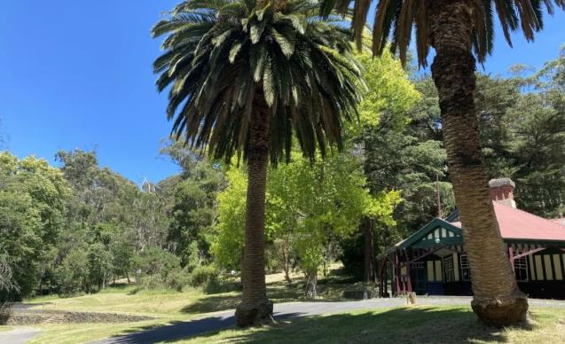 在澳洲怎么买房？澳洲买房流程攻略