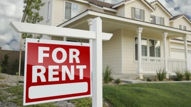 全澳租房空置率还不到1%！