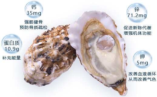 TOP·X 特倍鲜生蚝