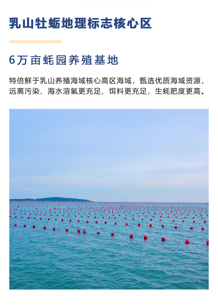 生鲜首页-牡蛎核心区-移动