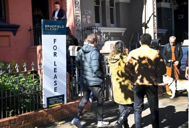 Westpac：租金水平将在今年上涨11%