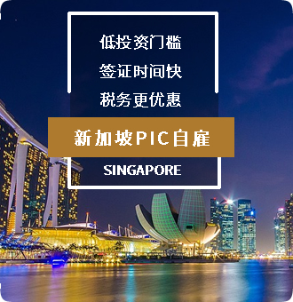 新加坡PIC自雇