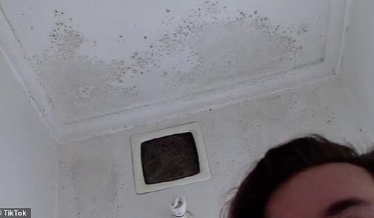 墨尔本缺房缺得多夸张！发霉漏水房子照样要抢！