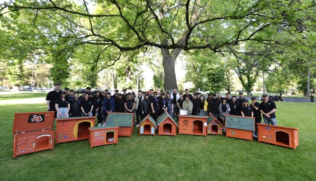 【活动·回顾】JINDING·7岁啦！治愈系团建，趣味又精彩！