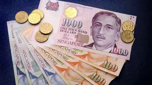 https://scms.jindingaus.com/新加坡小知识——当地货币