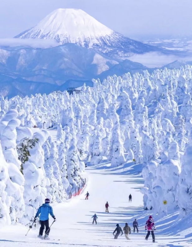 2024年日本滑雪胜地推荐