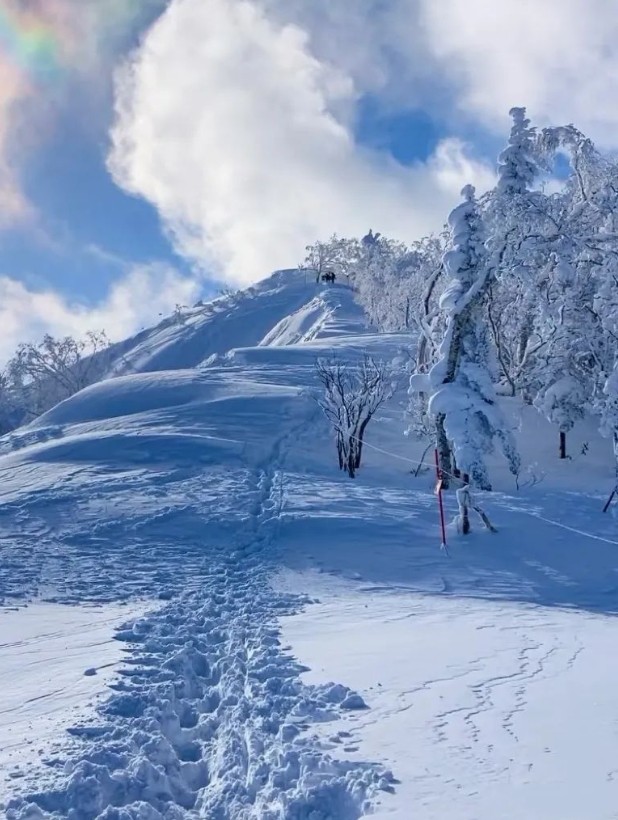 2024年日本滑雪胜地推荐