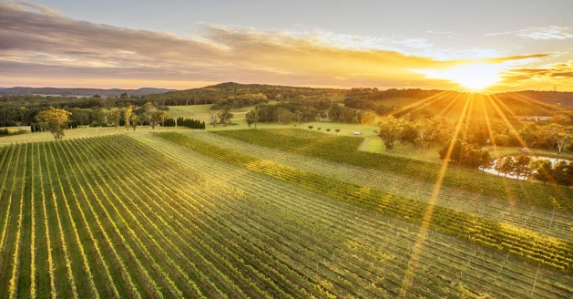 2024年澳大利亚农场交易概览：重大交易与投资趋势