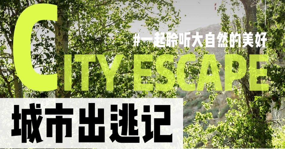 城市出逃记