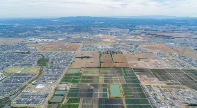 【澳洲·项目】Aldi强势入驻Clyde North商业版图，Ceduna小独栋居民生活配套再升级