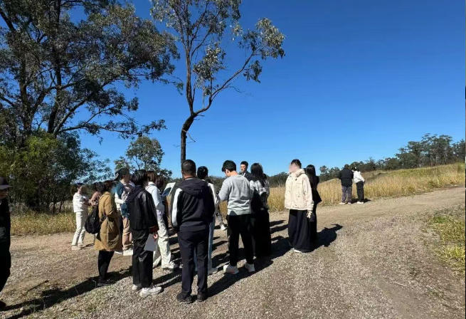 【公司·新闻】Jinding荣获Gallery Group销售伙伴称号，VIP之旅圆满绽放