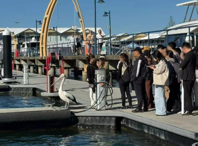 【公司·新闻】Jinding荣获Gallery Group销售伙伴称号，VIP之旅圆满绽放