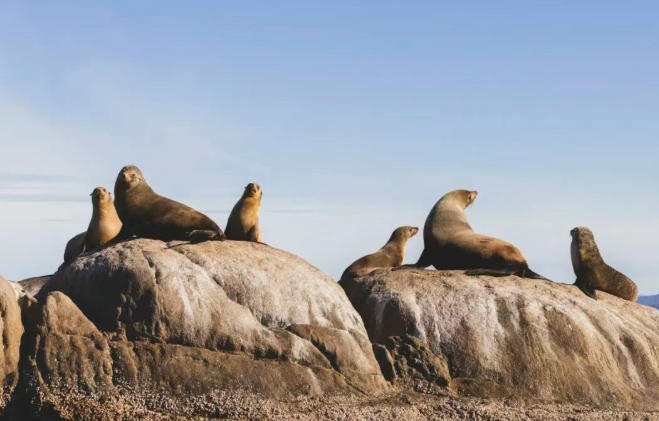 11 月去澳大利亚旅行?这份攻略请收好!