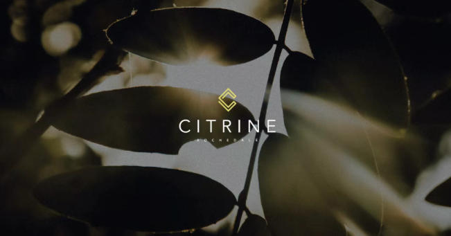 【澳洲·项目】阳光水晶，都会绿洲｜Citrine打造布里斯班低维护奢居