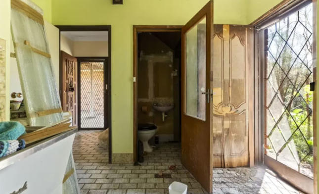 在首次购房者和既有业主的共同推动下,年末拍卖市场持续活跃