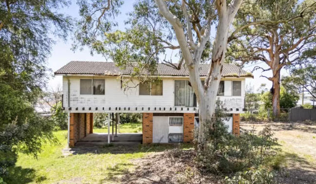 在首次购房者和既有业主的共同推动下，年末拍卖市场持续活跃