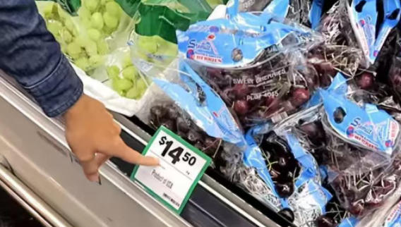 澳洲移民收紧信号全解读：留学生与技术移民成首要调压阀