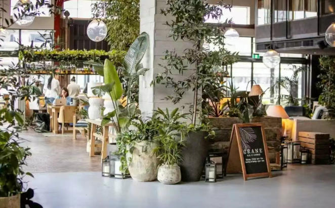 【公司·新闻】自然为景,思想为序:Jinding出席Colliers高力国际年终聚会