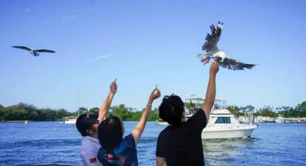 【活动·回顾】盛夏终章 | Jinding·VIP考察团2025年度收官之旅圆满启程