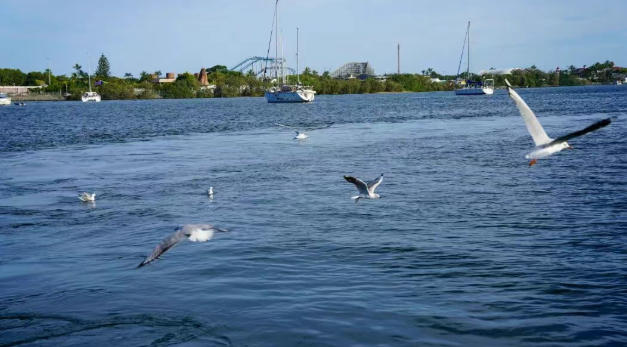 【活动·回顾】盛夏终章 | Jinding·VIP考察团2025年度收官之旅圆满启程