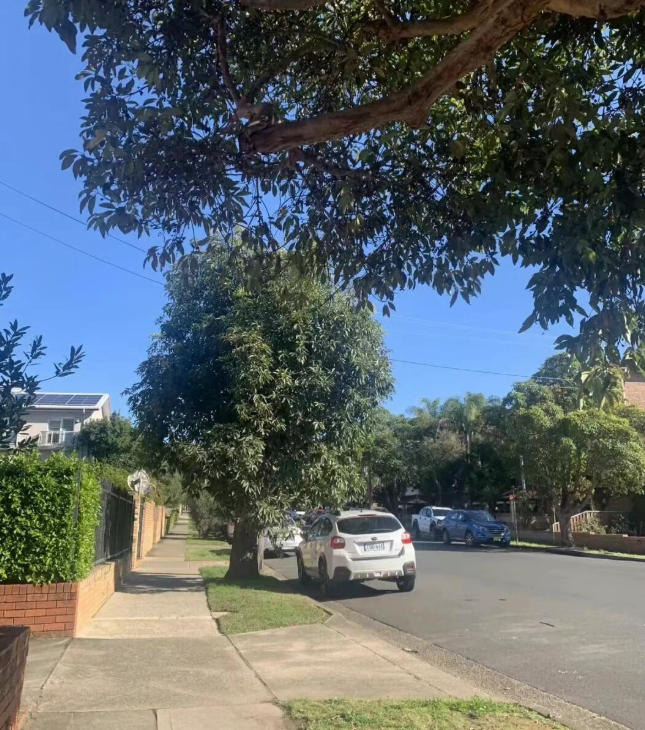 澳洲“便宜房”背后藏了八把刀:次看房,先学会躲开这些坑