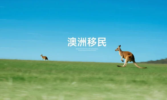 初到澳洲不会&ldquo;开机&rdquo;？这份新移民线上资源导航请收好！