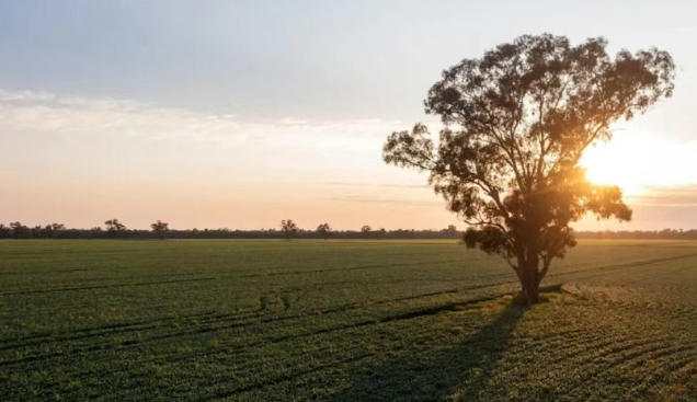 2026 澳洲商业地产五大预测：这类小众资产将成投资爆款