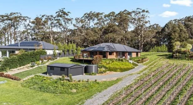 2025澳洲“热搜”购房地图出炉：从百万豪宅到洪水区，买家用咨询量投票