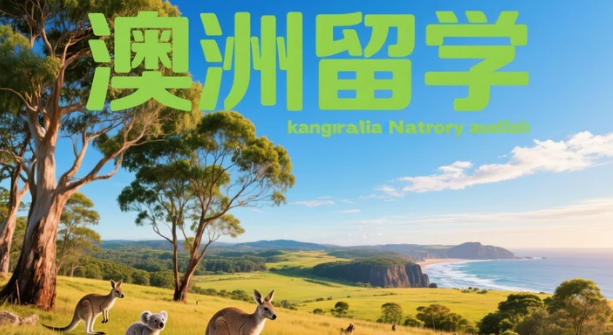 澳洲中学留学早规划:避开年级误区,把适合孩子的路径一次说清