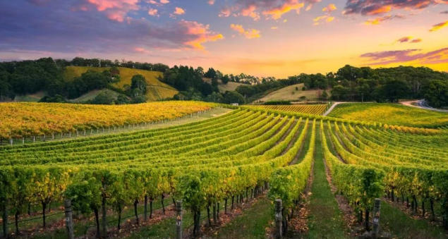 南澳188A&rarr;888A最全攻略：联邦门槛+阿德莱德/偏远地区双轨标准一次看懂