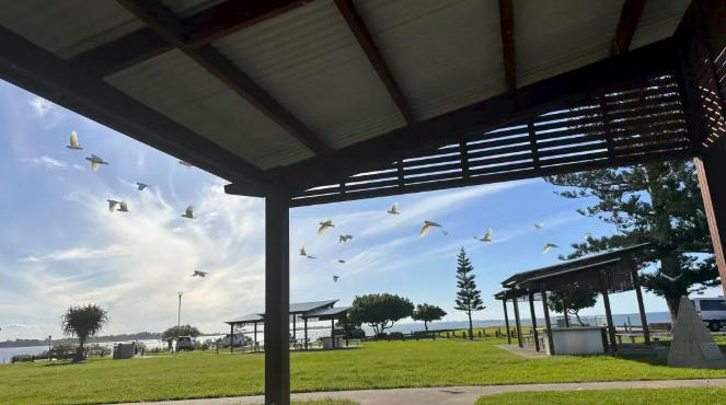 布里斯班置业指南：五大区域特征解析与投资策略