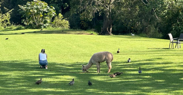  澳洲生活的10个"冷知识"：感受真实的澳洲！