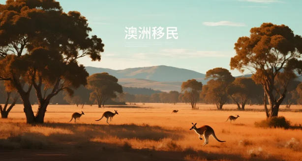 2026年澳洲移民新赛道:建筑技工成"香饽饽",低门槛高回报引关注