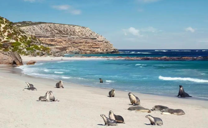 2026年4月澳洲必去10个地方｜蓝调音乐节+鲸鲨观赏，避开人潮太香了